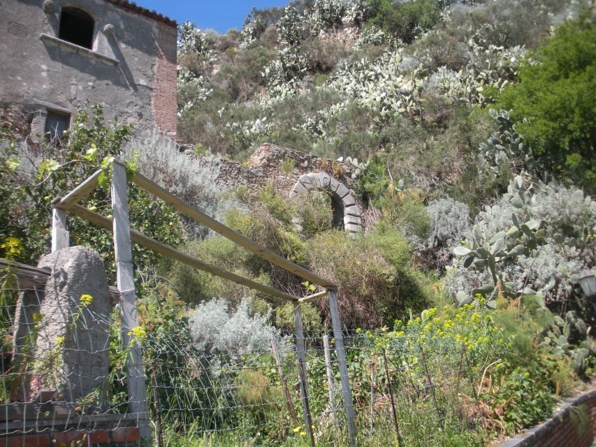 From Catania: The Godfather Movie Day Trip in Sicily - Guides in action: the movie-to-Sicily stories that make it click