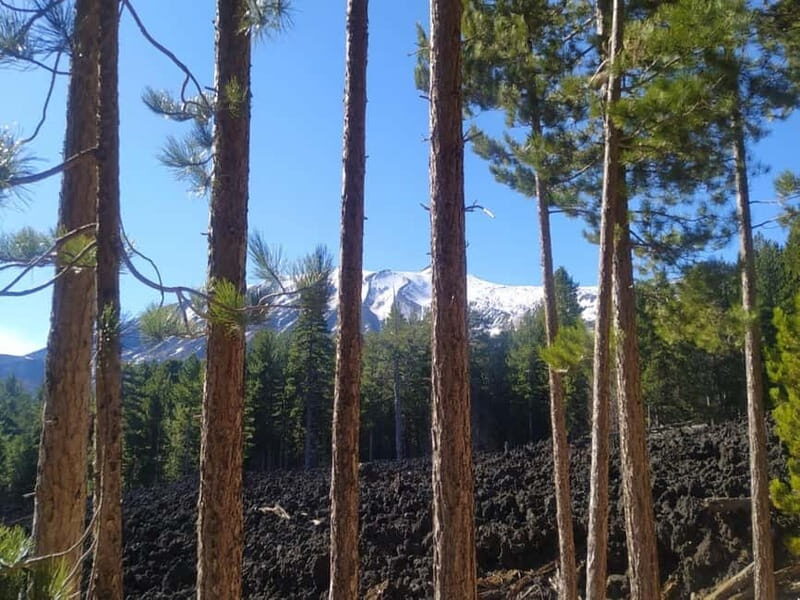 From Taormina: Etna Walking Tour and Wine Tasting in Winery - Lava Tunnel Time: A 15-Minute Stop That Changes How You See Etna