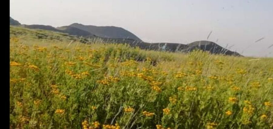 From Taormina, Naxos, & Letojanni: Mount Etna Half-Day Trip - Etna Half-Day, the Smart Way: Comfort + Real Crater Time