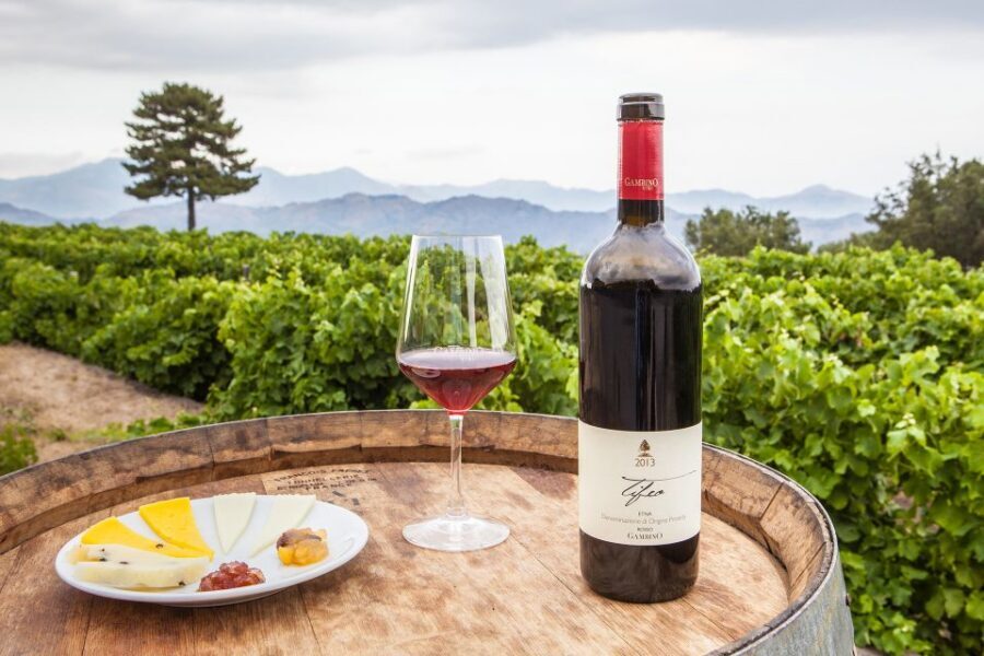 From Taormina: Private 3 Etna Wineries with Food & Wine - Etna wine, private and practical from Taormina