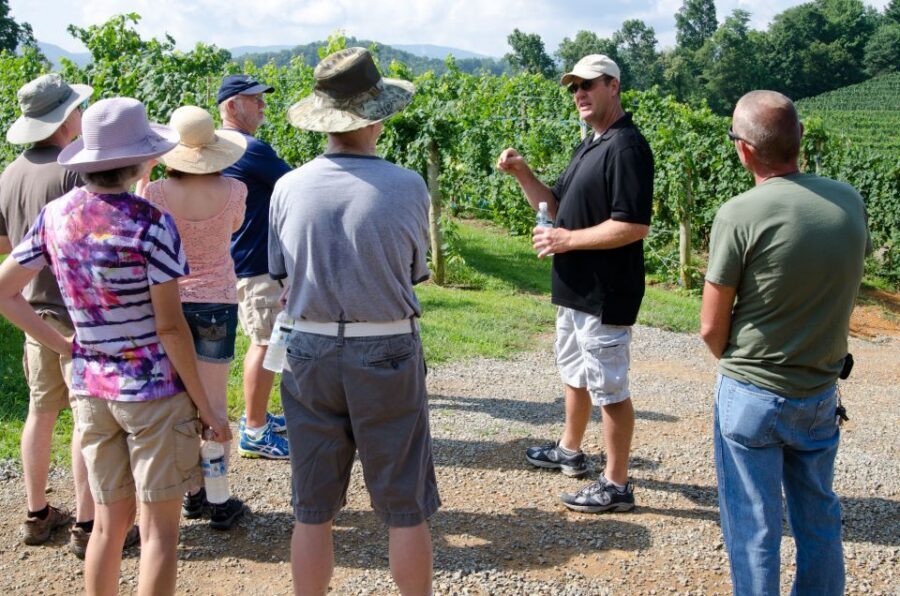 From Taormina: Private 3 Etna Wineries with Food & Wine - Pickup and the air-conditioned ride that makes the day easier