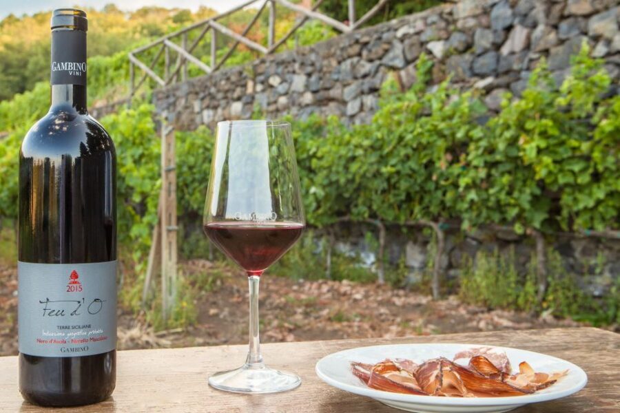 From Taormina: Private 3 Etna Wineries with Food & Wine - Stop 2: four regional wines with tagliere and Sicilian pasta