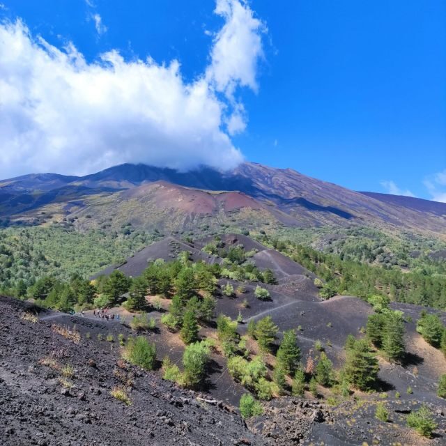 Mount Etna and Alcantara Gorges Day Trip - Stop 1: the lava tube cave visit (proof, not just talk)