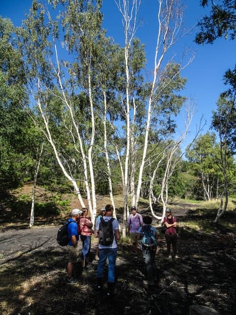 Mount Etna and Alcantara Gorges Day Trip - Alcantara Gorges walk: stairs included, elevator optional