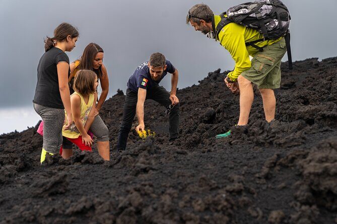 Mt Etna and Wine tasting tour from Catania - Catania to Mt. Etna: why this day trip works