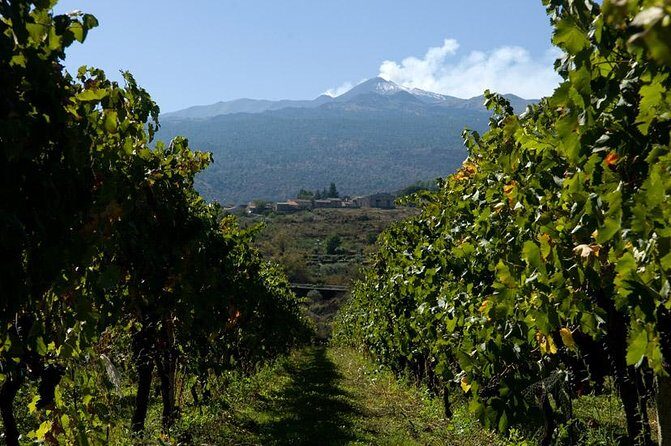 Mt Etna and Wine tasting tour from Catania - Stop 2: Mount Etna trekking on natural paths