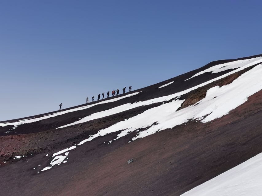 Mt Etna: Winter Trekking Tour with Optional Catania Transfer - Walking through black larch pine and Etna’s winter plants