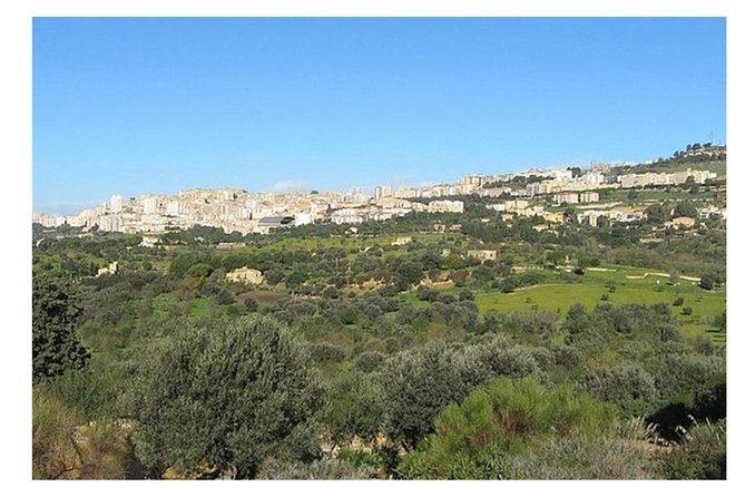 Private Full-Day Tour of Agrigento and Piazza Armerina - Pickup, Vehicle, and Driver Service You’ll Actually Feel