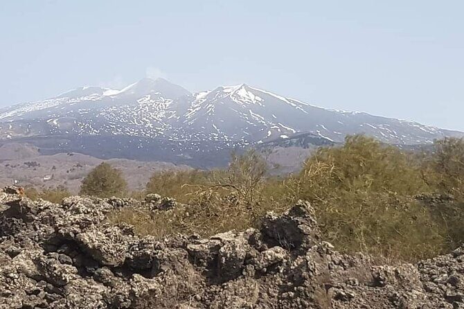 Private Tour from Catania to Etna Naxos and Taormina - Who this tour suits best (and who might want another option)