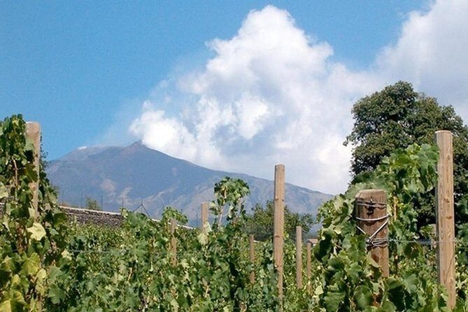 Private visit to the cellars of Etna with wine tasting - Private Etna Cellars With Pickup From Catania