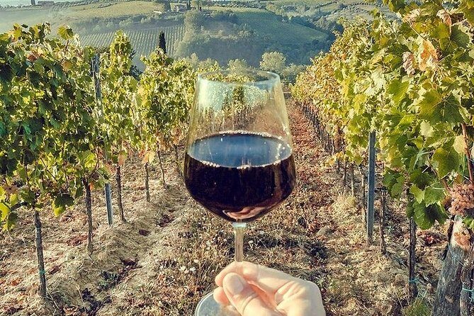 Private visit to the cellars of Etna with wine tasting - Getting Around by 4x4 and Minivan: The Good and the Real-World Stuff