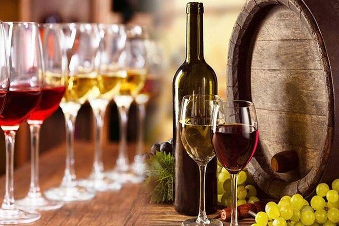Private visit to the cellars of Etna with wine tasting - Weather, Timing, and That Half-Day Rhythm