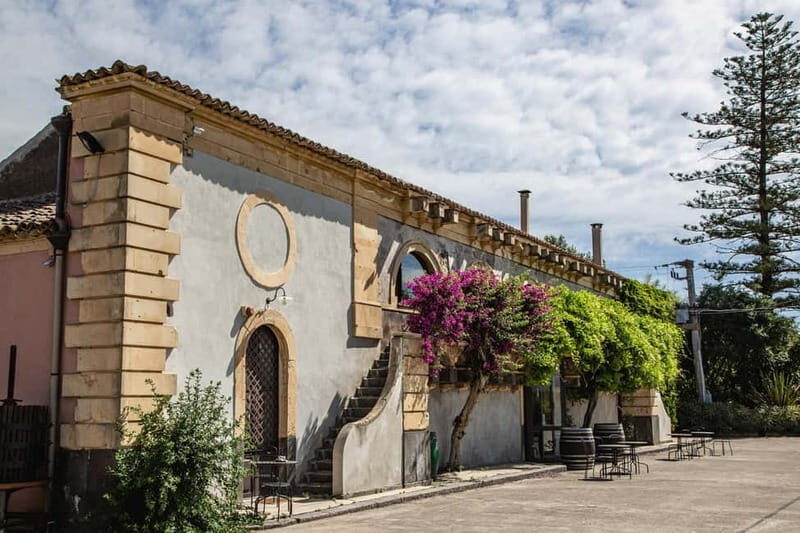 Sicilian Soul: Winery Tour, Wine & Food Tasting in Catania - Key Points You’ll Care About