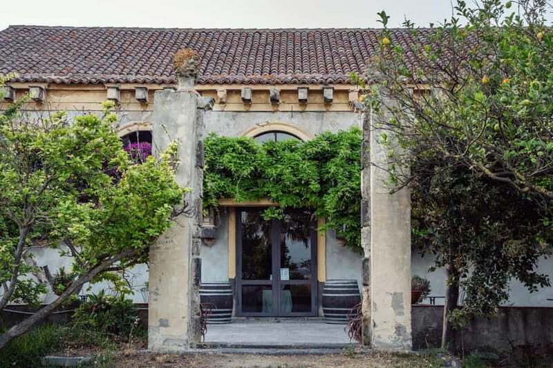 Sicilian Soul: Winery Tour, Wine & Food Tasting in Catania - The Food Spread: Salami, Cheese, Preserves, Olives, and Pane Cunzato