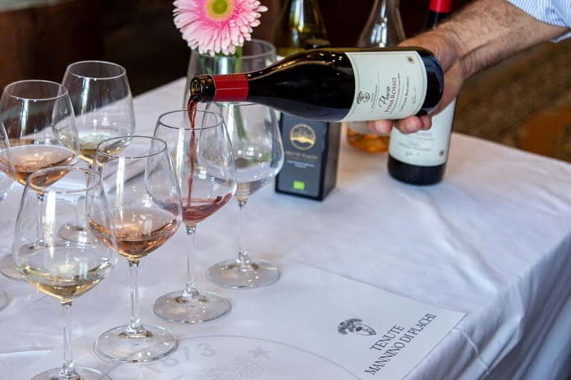 Sicilian Soul: Winery Tour, Wine & Food Tasting in Catania - Who This Wine and Food Tasting Fits Best