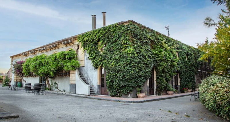 Sicilian Soul: Winery Tour, Wine & Food Tasting in Catania - What You Actually Taste: 3 Wines, No Guesswork