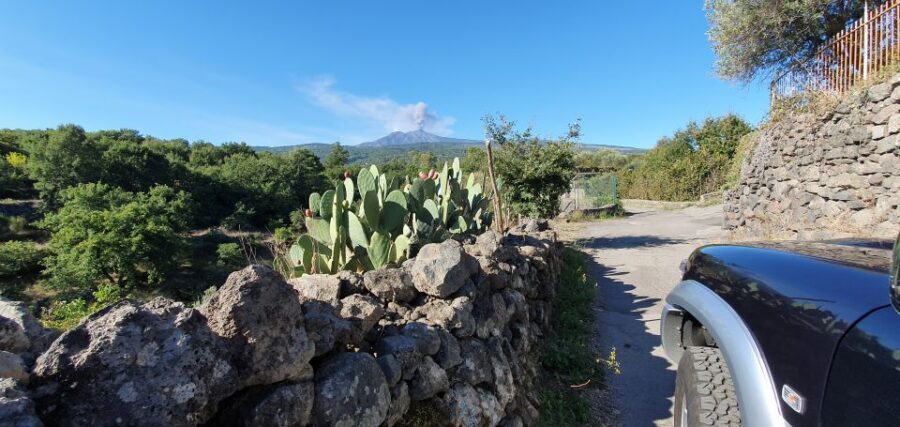 Sicily: Mount Etna 4x4 Jeep Tour with Lava Caves & Forests - Sartorius Mountains and “buttonhole” cones: where views meet plants