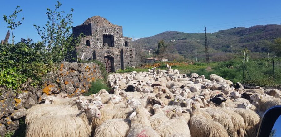 Sicily: Mount Etna 4x4 Jeep Tour with Lava Caves & Forests - Practicalities that make the day smoother